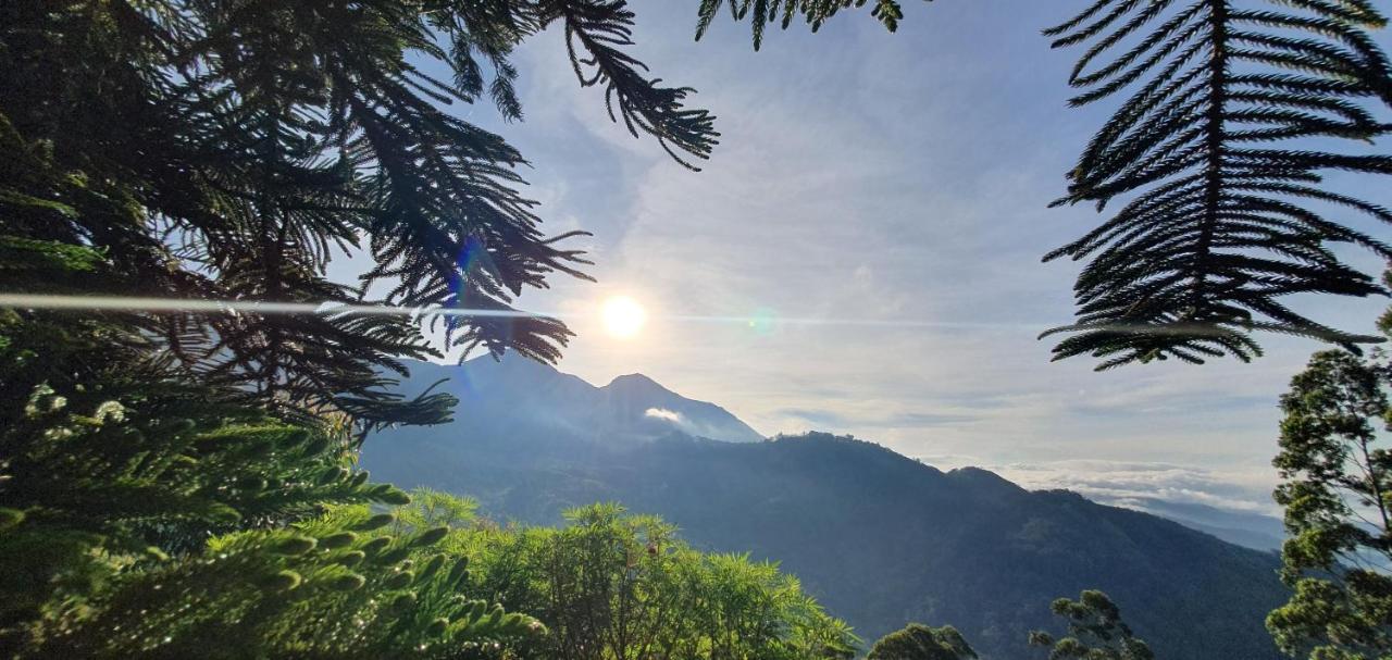 Mount Valley Resort - A Secluded Getaway Муннар Экстерьер фото